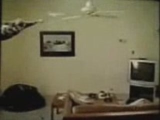 videos comicos bloopers