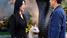 A Snake Repays My Ten-Year Grace- Full