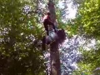 Marion dans la merde