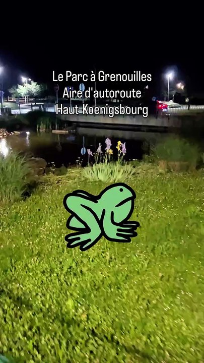 🇫🇷🐸 22_05_2026 Le Parc à Grenouilles (Aire d_autoroute, Haut-Koenigsbourg) #grenouille #frog.mp4