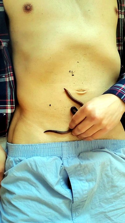 Belly worming