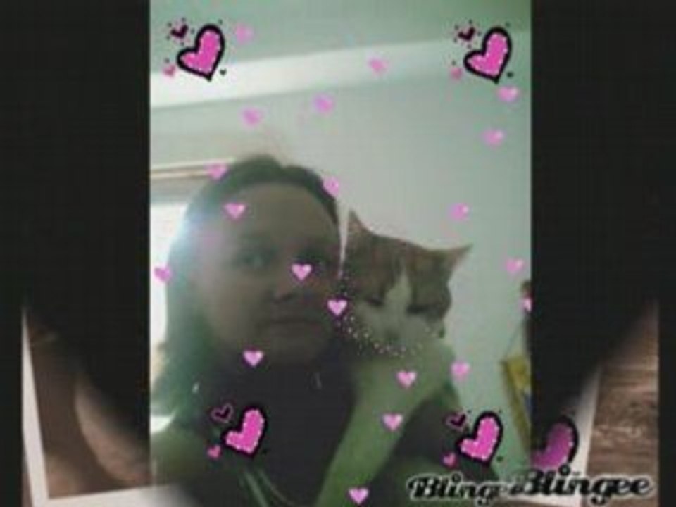 mes chat