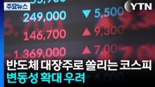 반도체 대장주로 쏠리는 코스피...변동성 확대 우려 / YTN