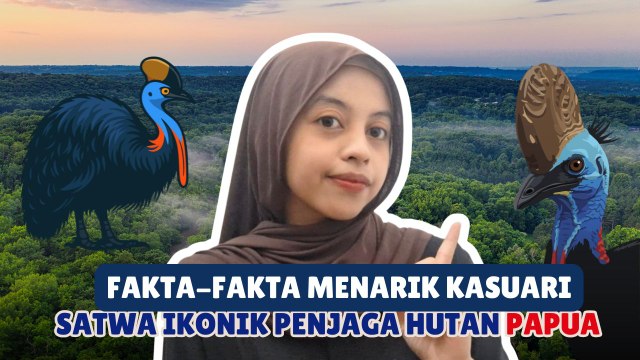 Fakta-Fakta Menarik Kasuari, Satwa Ikonik Penjaga Hutan Papua-Serius Ini Hewan?