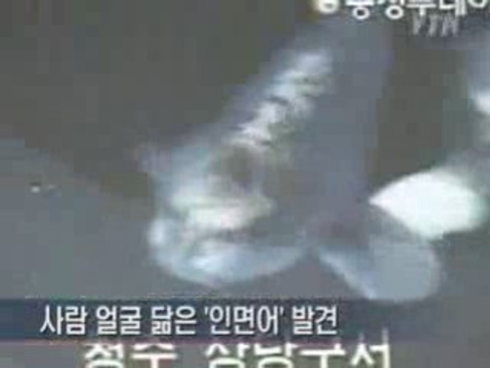 Des poissons à visages humains !