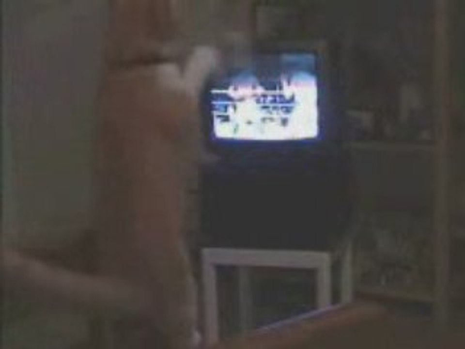 Cha fait de la boxe thai