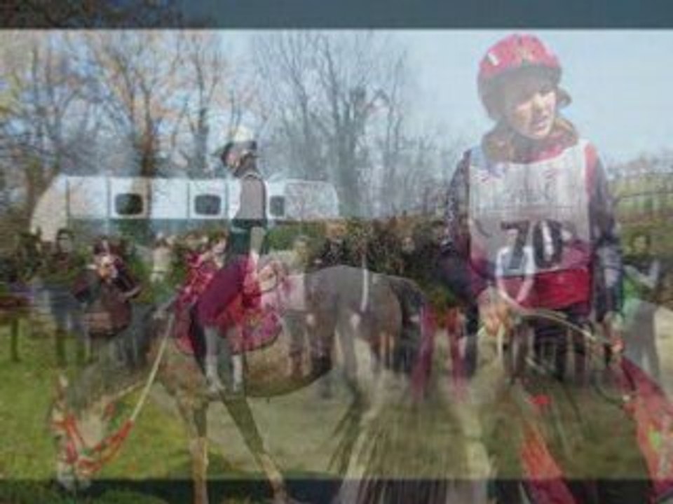 les écuries du haut cantal