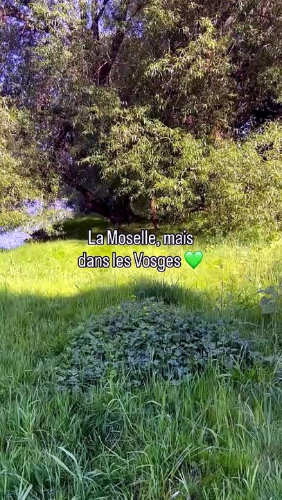 ☀️ 28_05_2026 La rivière de la Moselle, mais da...