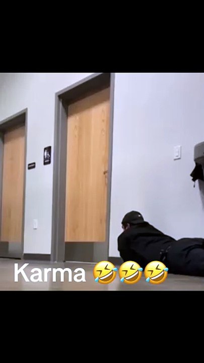 daily funny videos