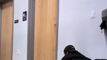 daily funny videos
