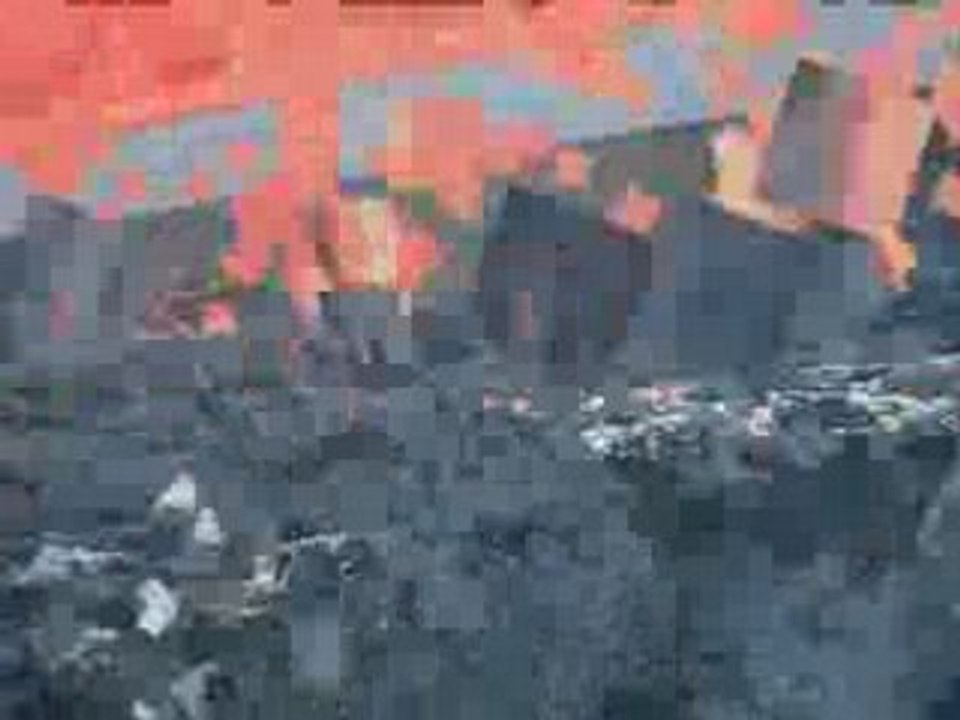 DAUPHINS ENTRE BEQUIA ET MOUSTIQUE