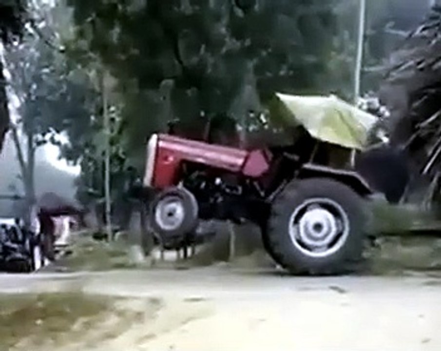 funniest video clips