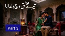 Tere ishq vich dildara | part 3