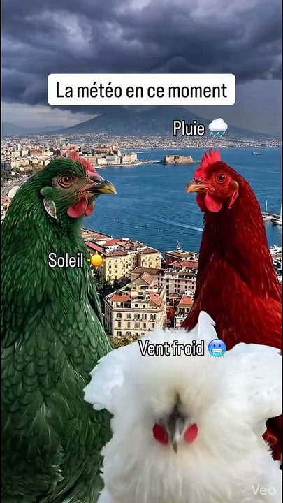 🥶🥵 La Moselle, les 4 saisons Hiver Printemps Eté Automne en une seule journée ! #meme #humour.mp4