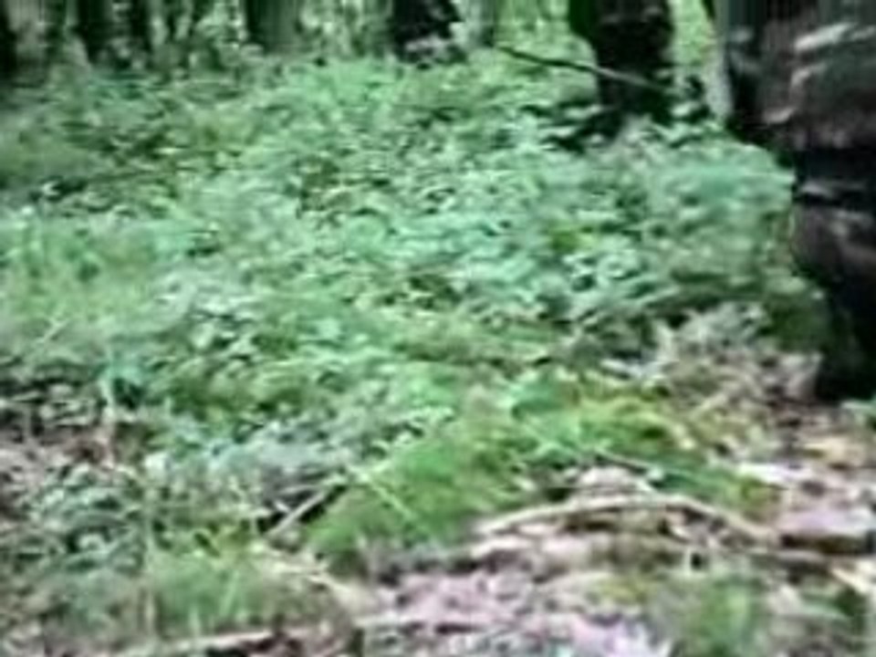 Airsoft, partie à Brinville le 22/06/08 avec HobbySoft