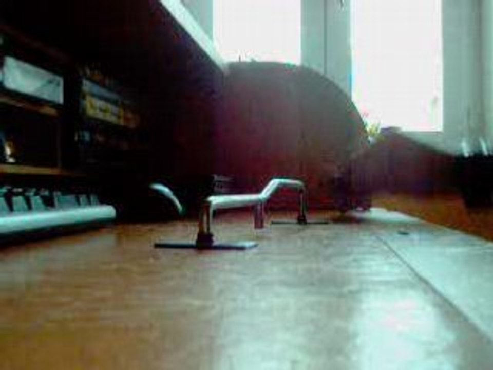 petit trick en fingerskate