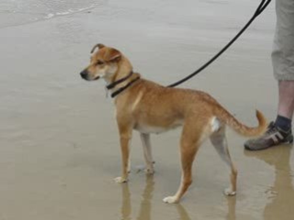 Cassy et les vagues