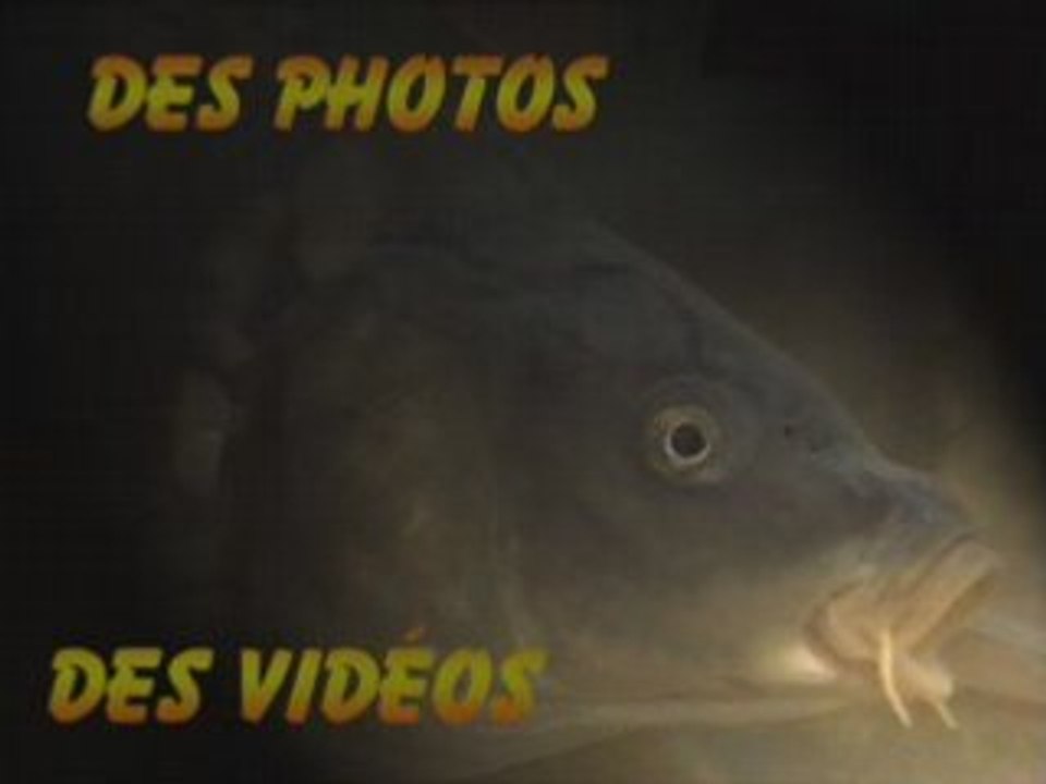Présentation du site