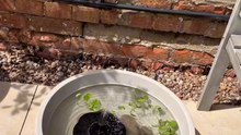 BRB, Adding This Simple Water Feature Idea By Thebarnrenovation Straight To Our Summer Garden