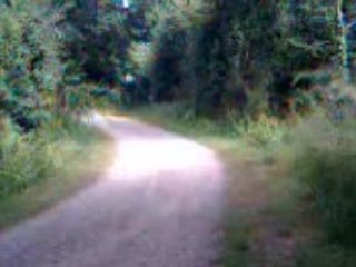 125 dt 2ème édition