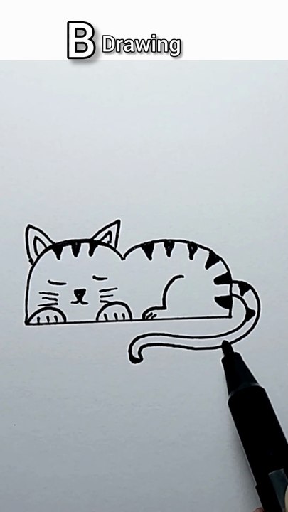 Cat drawing
