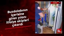 Elazığ'da buzdolabının içerisine giren yılanı itfaiye ekipleri çıkardı