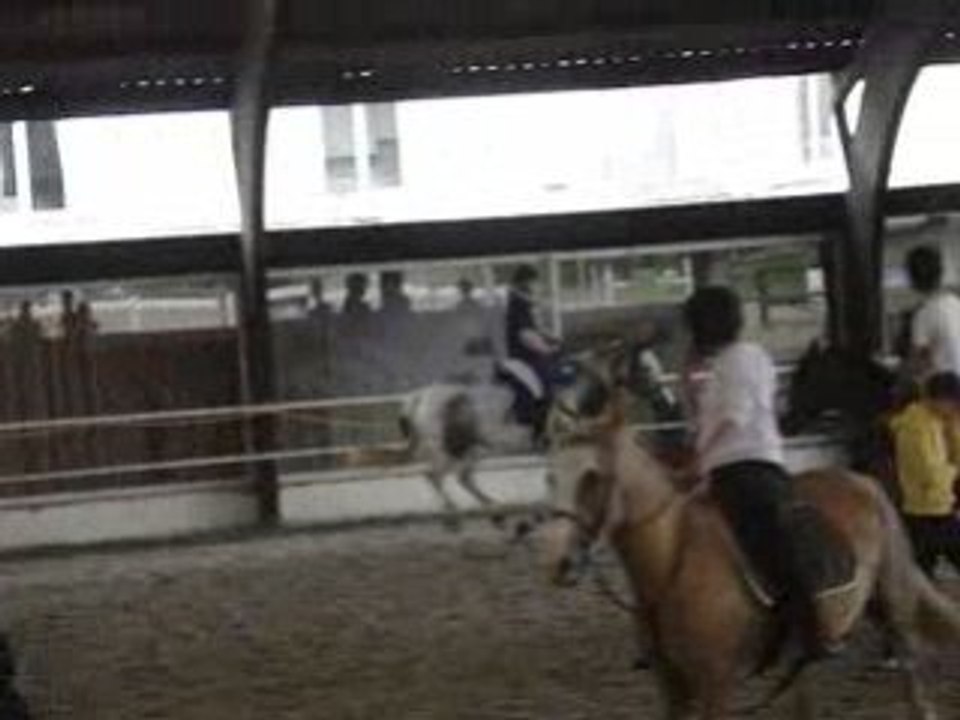 horse-ball