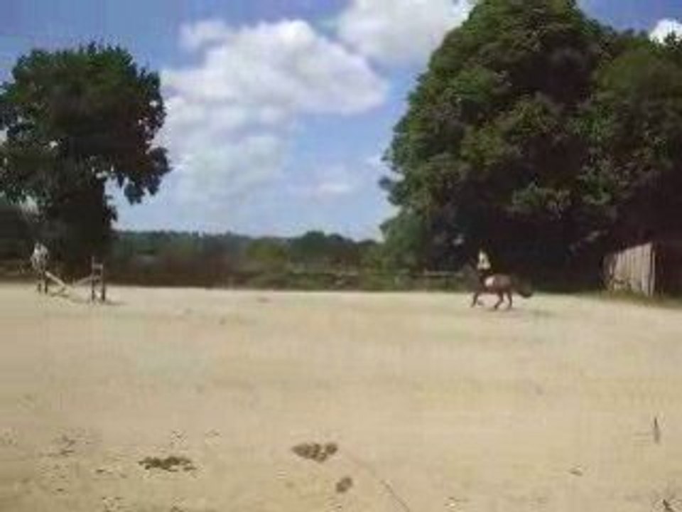 suite du cours de saut d'obstacles