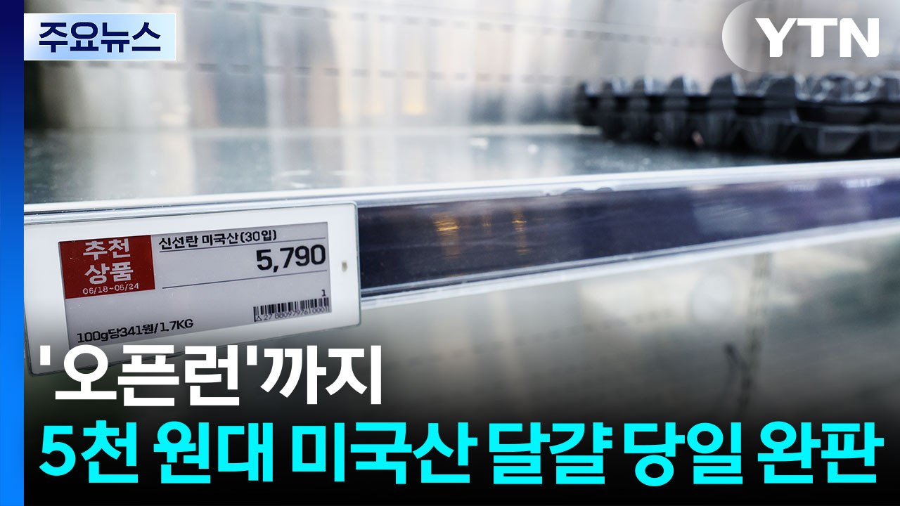 5천 원대 미국산 달걀 "당일 완판"...'오픈런'도 / YTN
