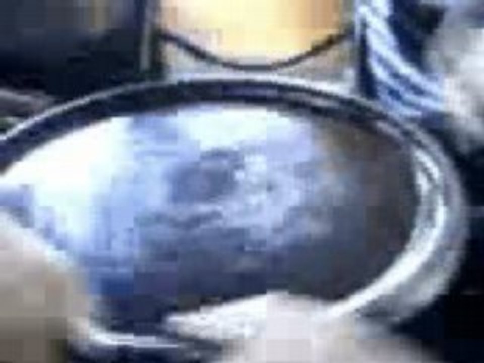 Journée aux  parc astérix