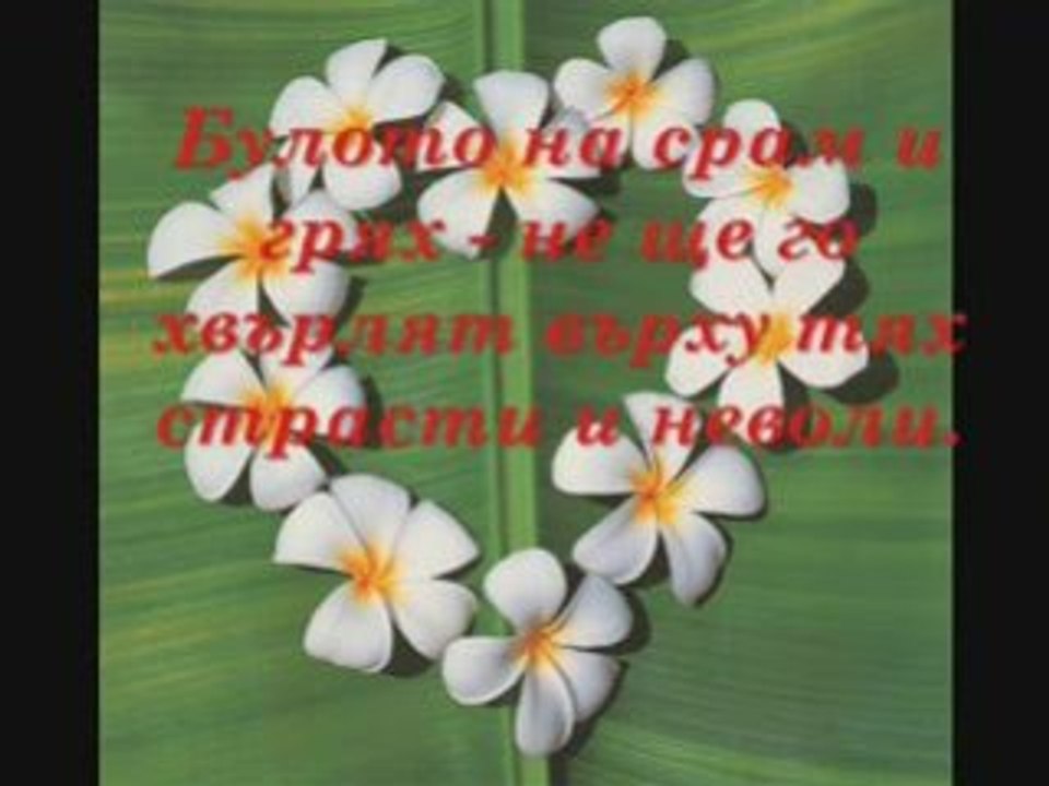 ® snejka love bobi