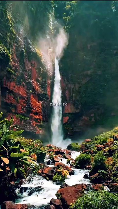 Videos para relajar