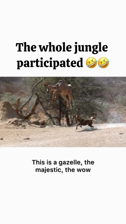The Whole Jungle Showed Up! 😂 Crazy Wildlife Moment Caught on Camera 🐘🦒
