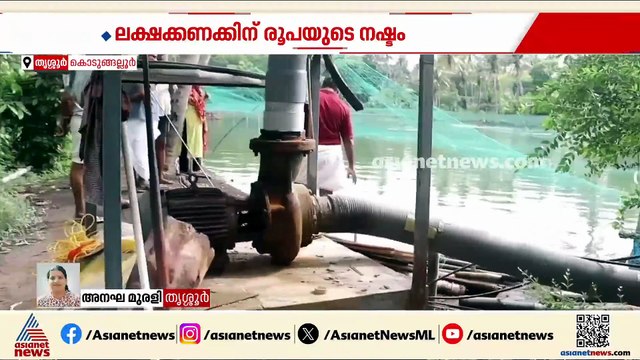വൈദ്യുതി മുടങ്ങി, ചെമ്മീൻ കുഞ്ഞുങ്ങൾ ചത്തു, കർഷകന് 30 ലക്ഷം രൂപയുടെ നഷ്‌ടം
