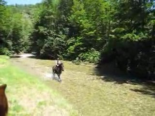 Néro&Juju galop dans rivière