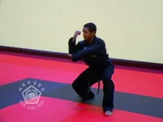 Cho Geup Hyung - Elementary Form