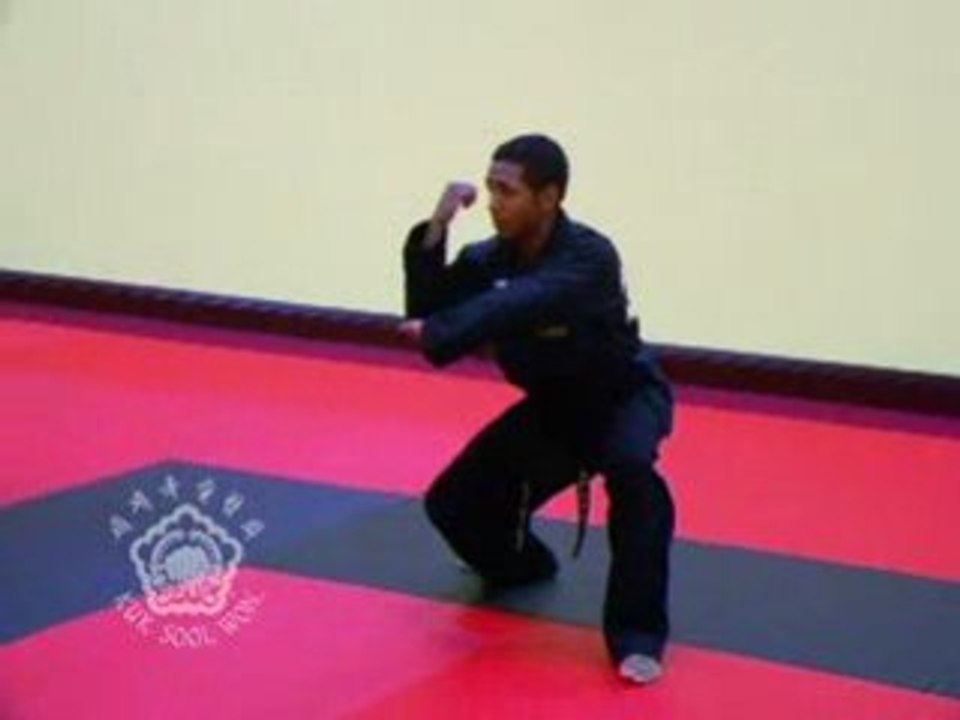 Cho Geup Hyung - Elementary Form
