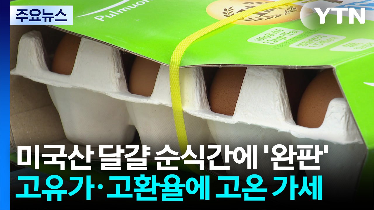 미국산 달걀 순식간에 '완판'...고유가·고환율에 고온까지 가세 / YTN