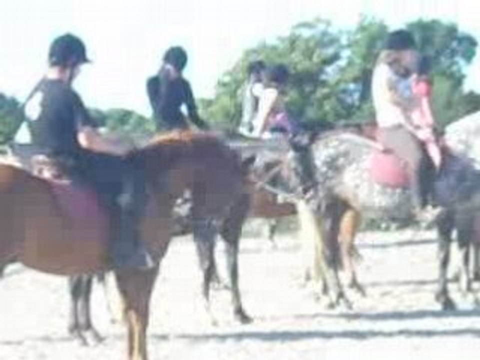 cheval