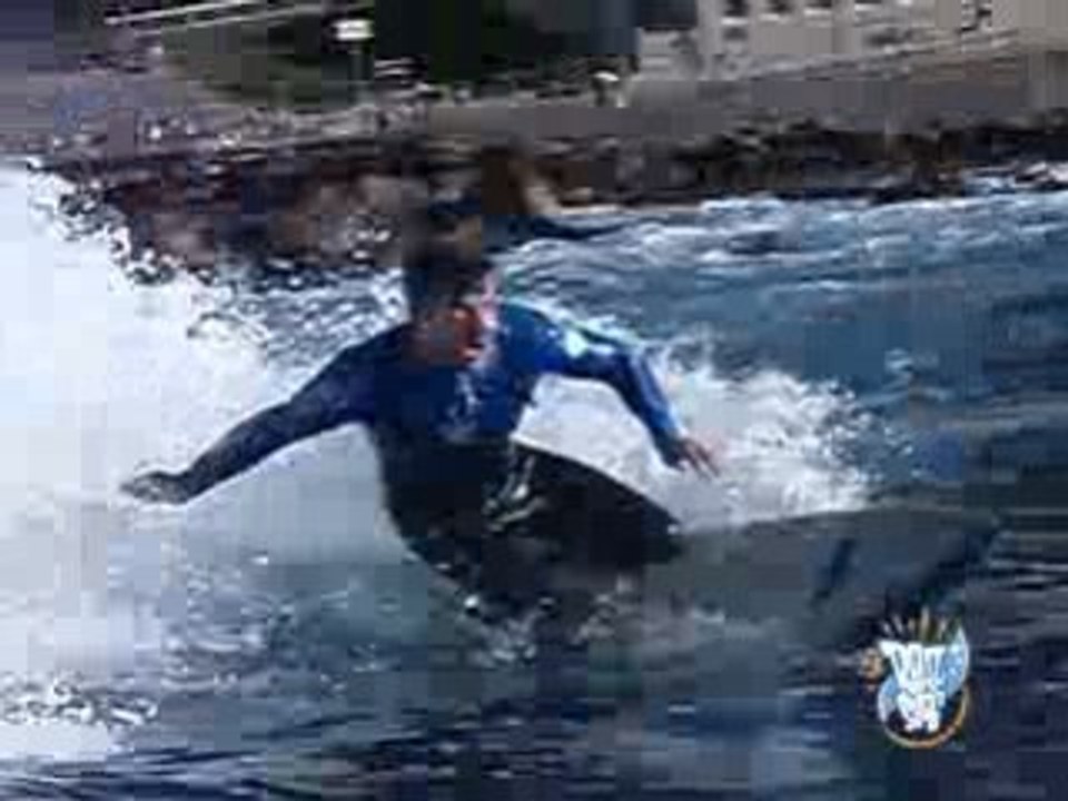 Surfing at Dee Why point Sydney Australia