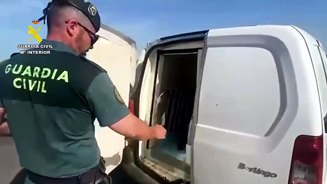 Intervienen más de 31 kilos de pescado y marisco sin trazabilidad en un control en Cádiz