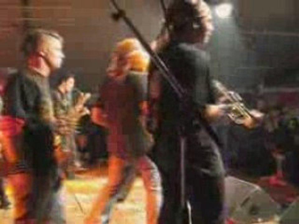 HELLFEST 2008 Fear of the Dark by PASTORS OF MUPPETS