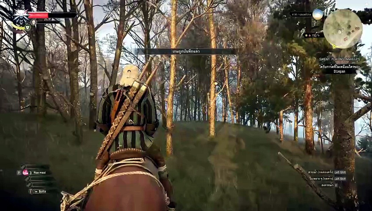 THE WITCHER 3 GAMEPLAY PART 6