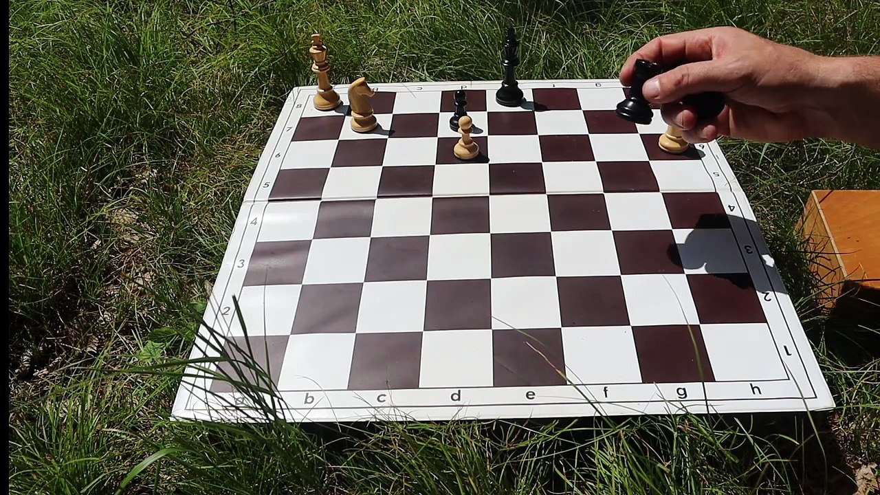 Michael Pasman - chess study with draw