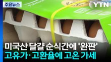 미국산 달걀 순식간에 '완판'...고유가·고환율에 고온까지 가세 / YTN