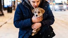 He saved a freezing puppy from the snow… 6 months later, the puppy returned the favor! 😭 #DogLovers