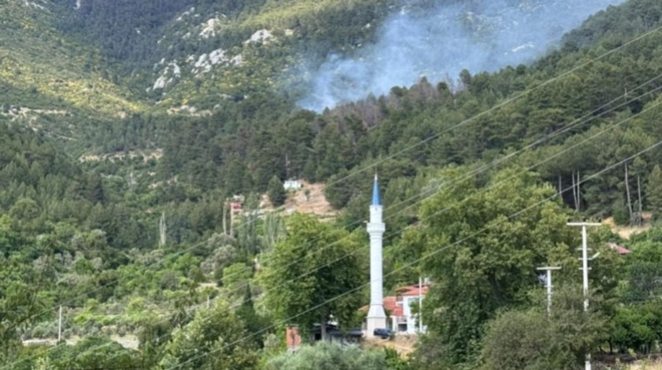 Antalya'da orman yangını! Alevler yerleşim yerlerine yakın bölgede yükseldi