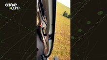 Piloto faz pouso forçado de avião agrícola após falha mecânica em Marialva
