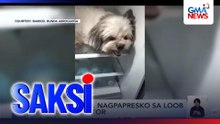 7 fur babies, mahimbing ang tulog sa biyahe pauwi mula sa outing ng pamilya | Saksi