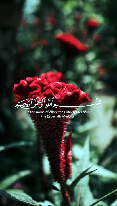 Quran recitation